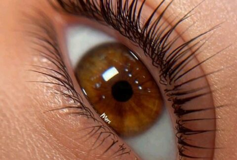 Lifting y laminado de cejas